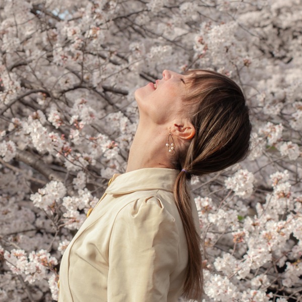 Spring Songs On The Fly album cover