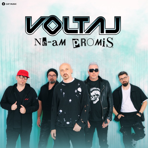 Ne-am promis - Single album cover