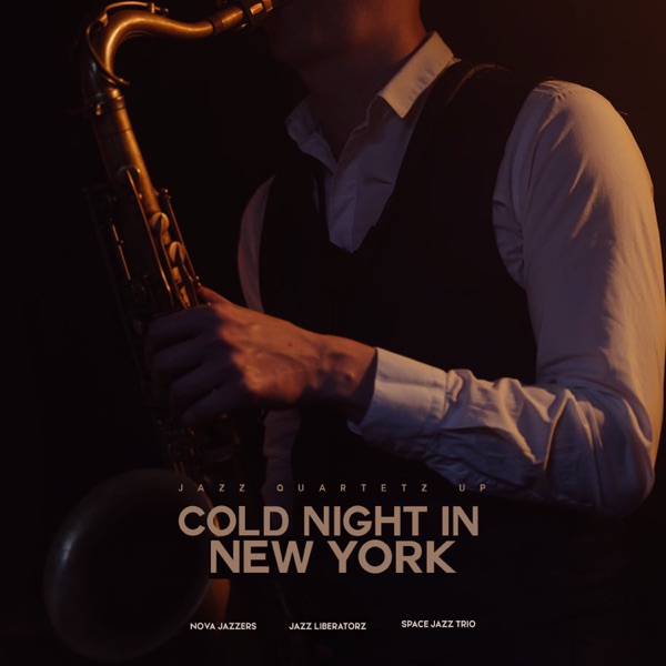 Cold Night in New York - Single album cover