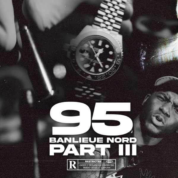 95 BANLIEUE NORD PART 3 (feat. BIG FUEG, MUFASA, LOZO, RSC MDL, ZYKEN, LeG, PAAKO, DSK, LA PASS & KN album cover