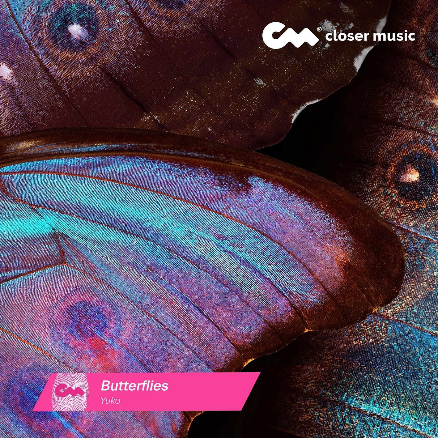 Butterflies - Single album cover