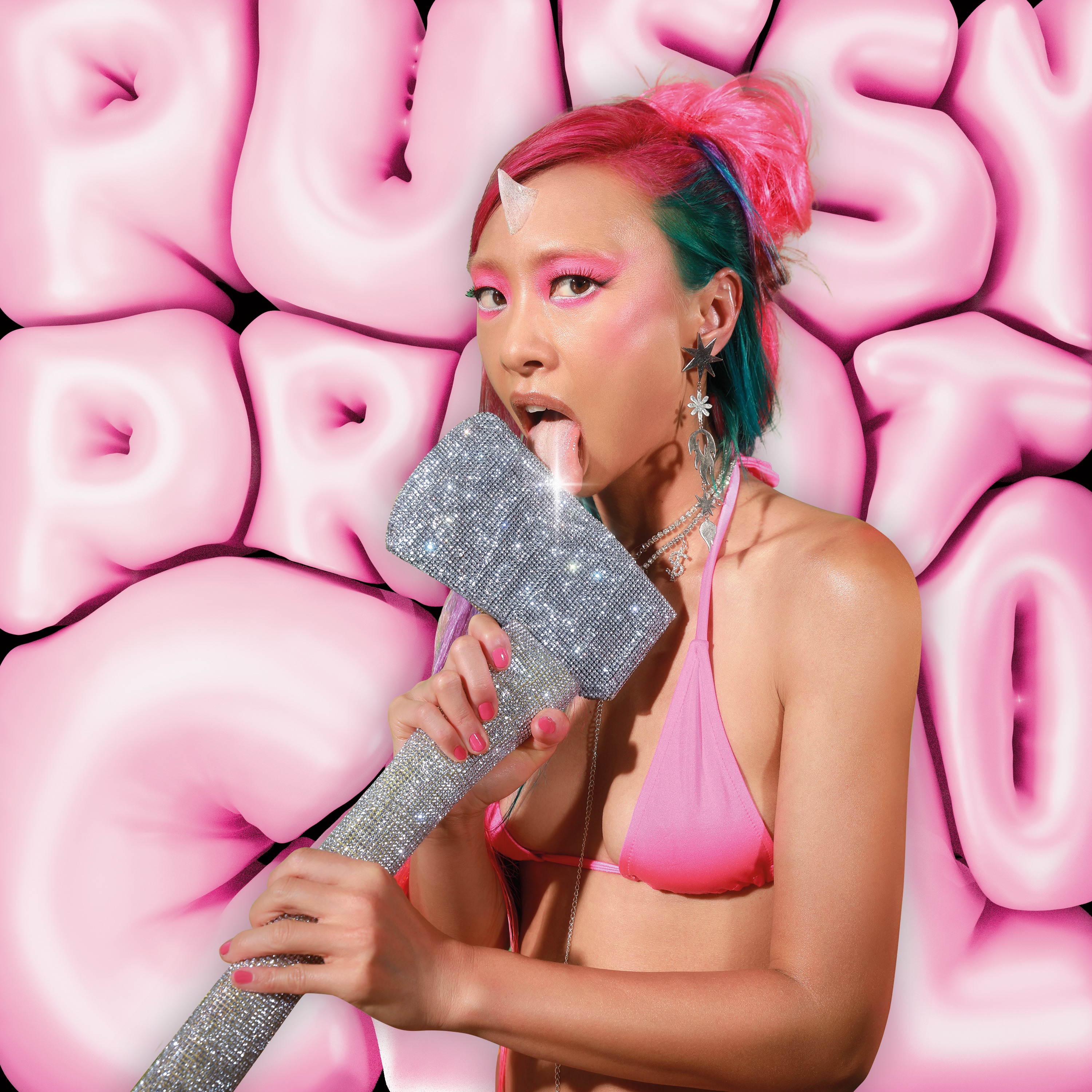 P***Y PROTOCOL - Single album cover