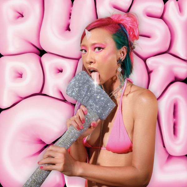 P***Y PROTOCOL - Single album cover