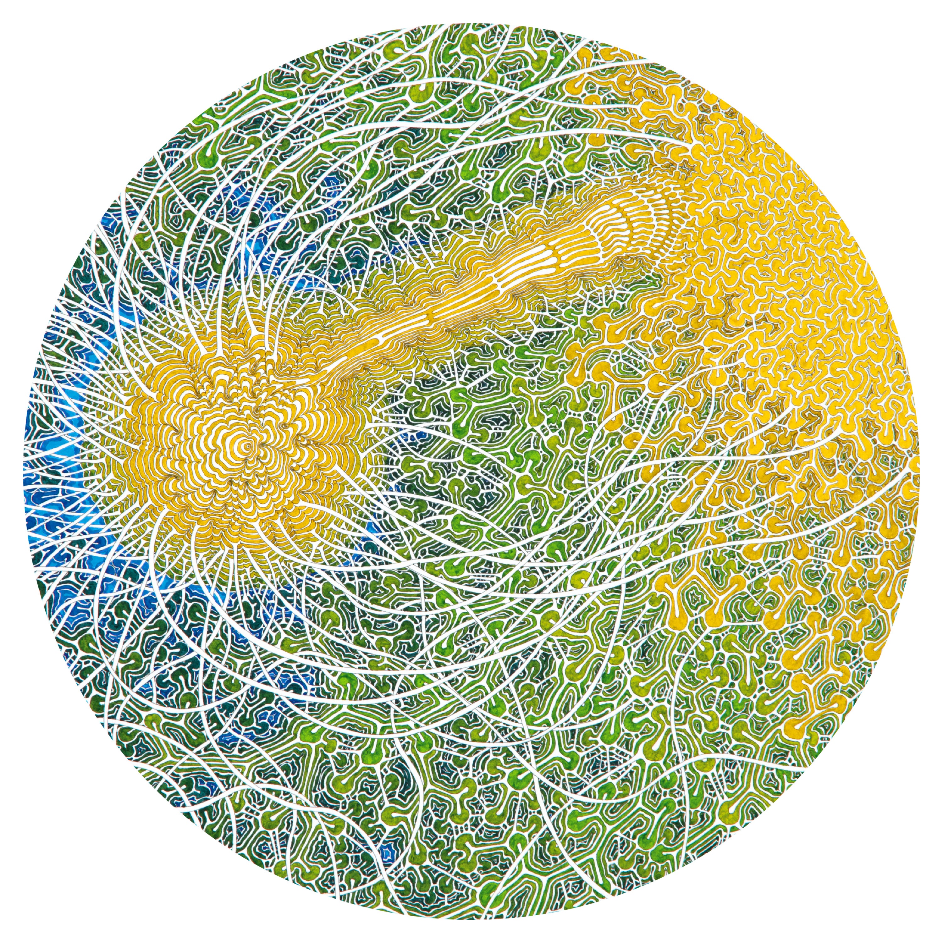 Feeling Is Structure album cover