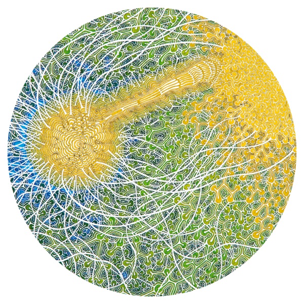 Feeling Is Structure album cover