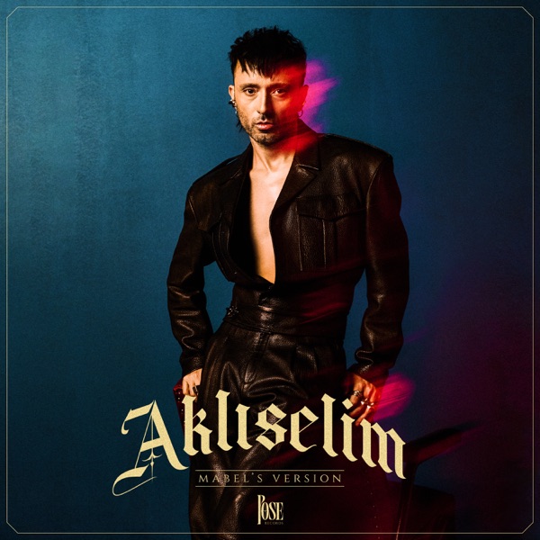 Aklıselim album cover