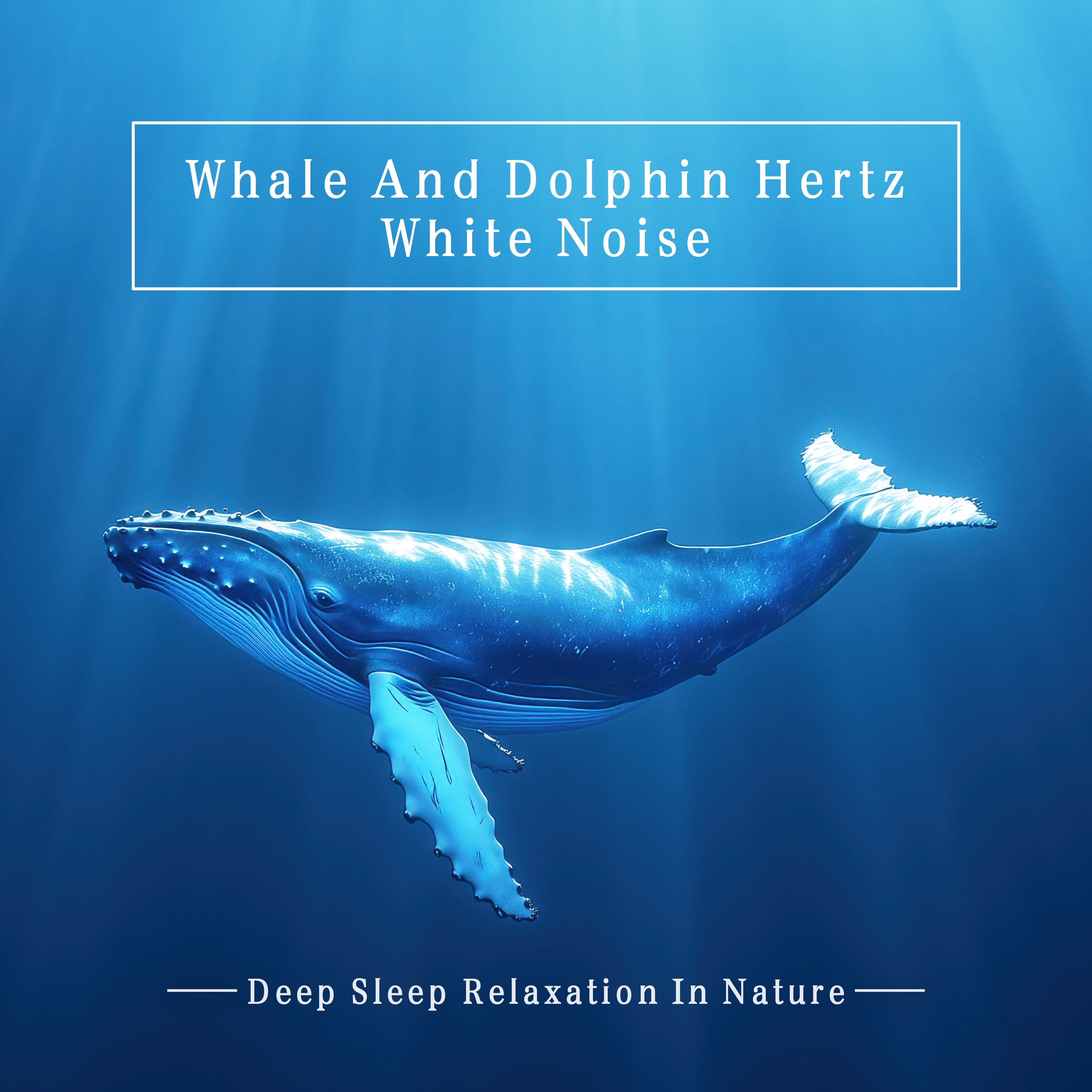 Whale and Dolphin Hertz White Noise: Deep Sleep Relaxation In Nature album cover