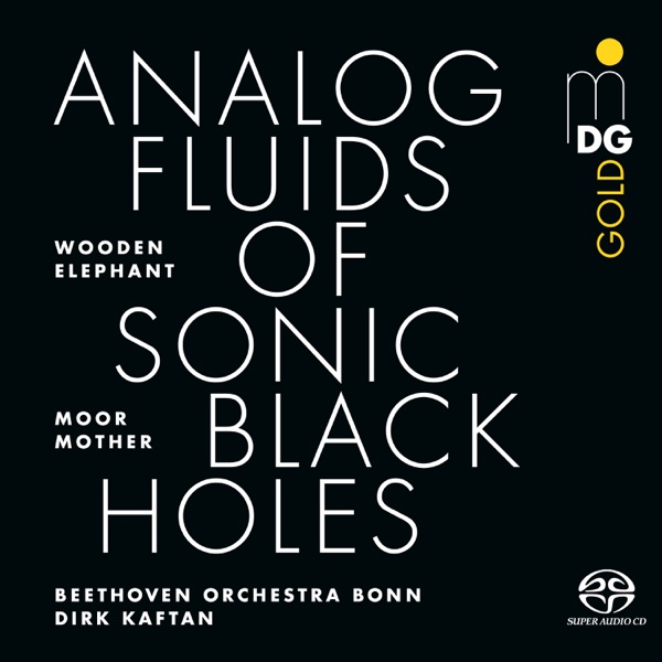 Analog Fluids of Sonic Black Holes album cover