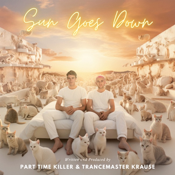 Sun Goes Down - Single album cover