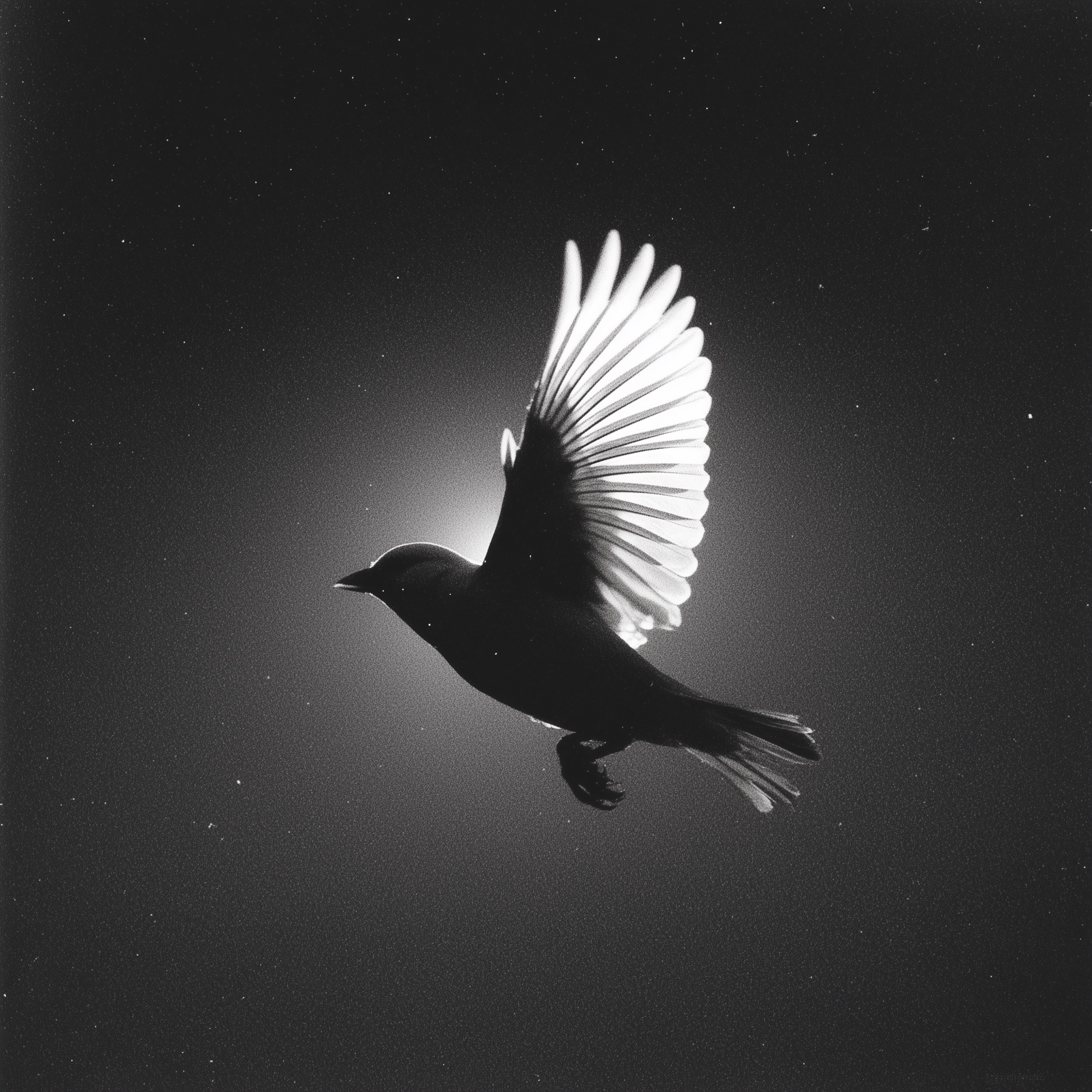 Instrumental Worship Collection album cover