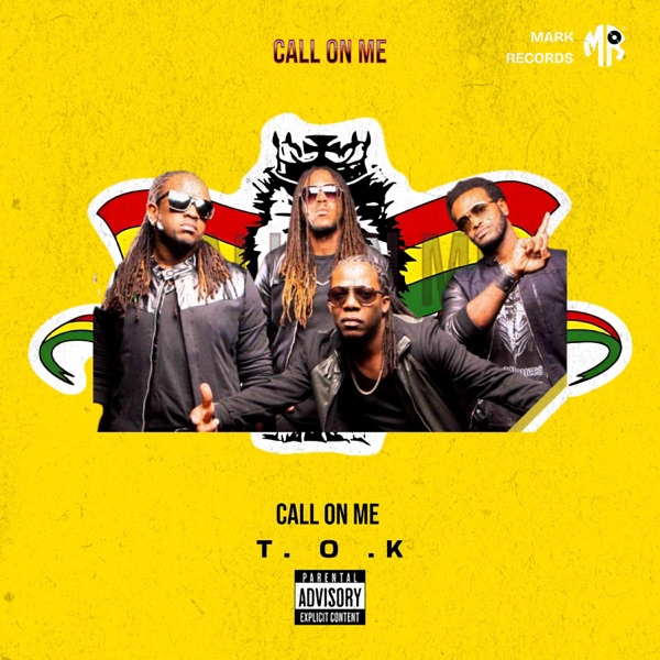 Call On Me (feat. T.O.K) - Single album cover