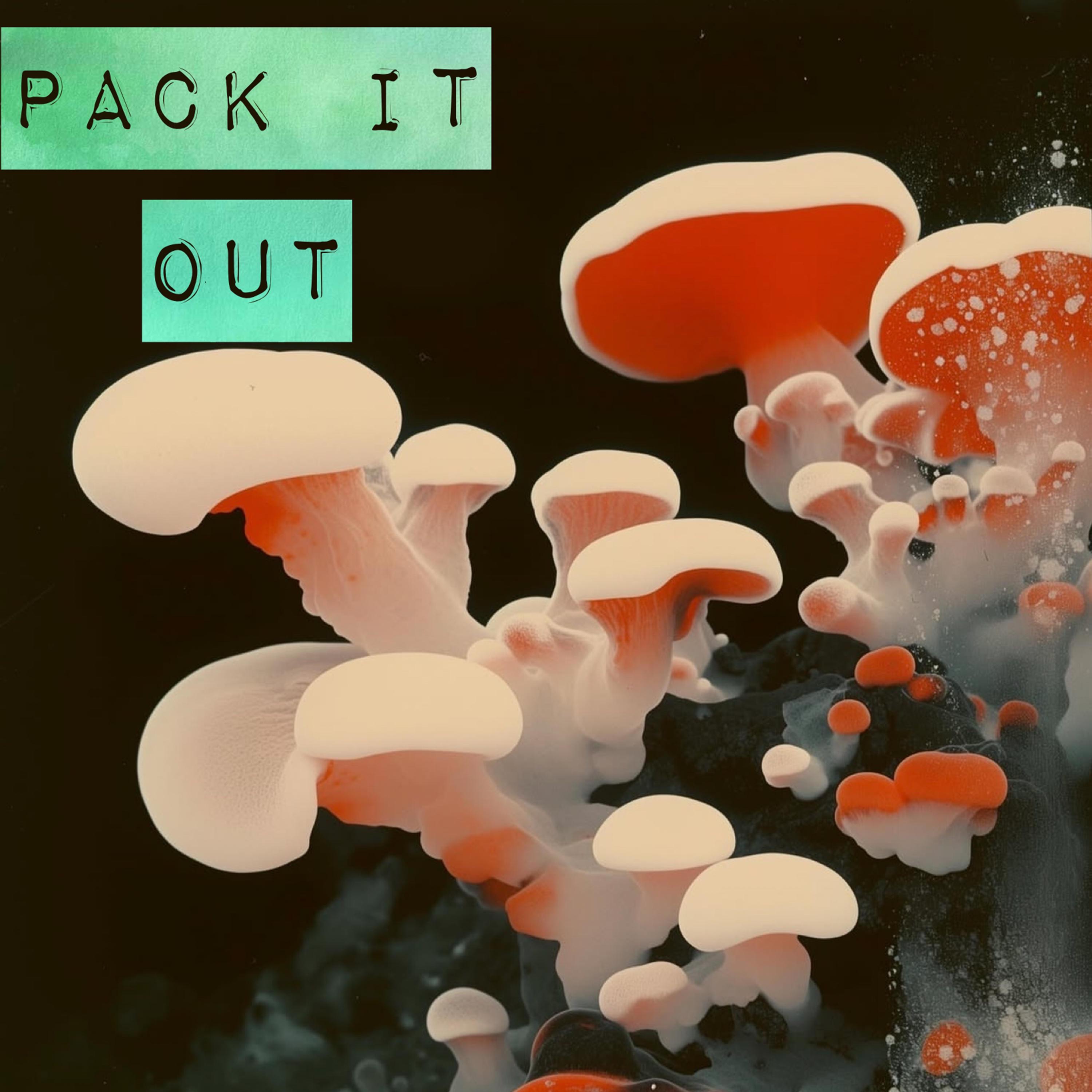 Pack It Out - EP album cover