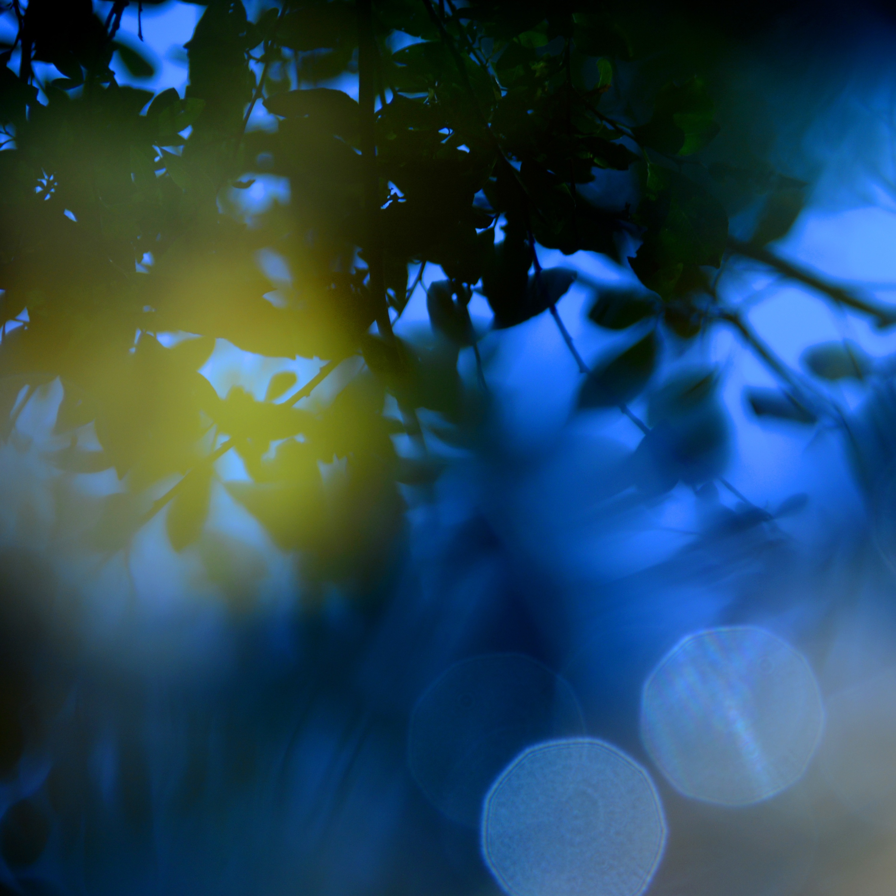 Faded Summer (DJ Mix) album cover