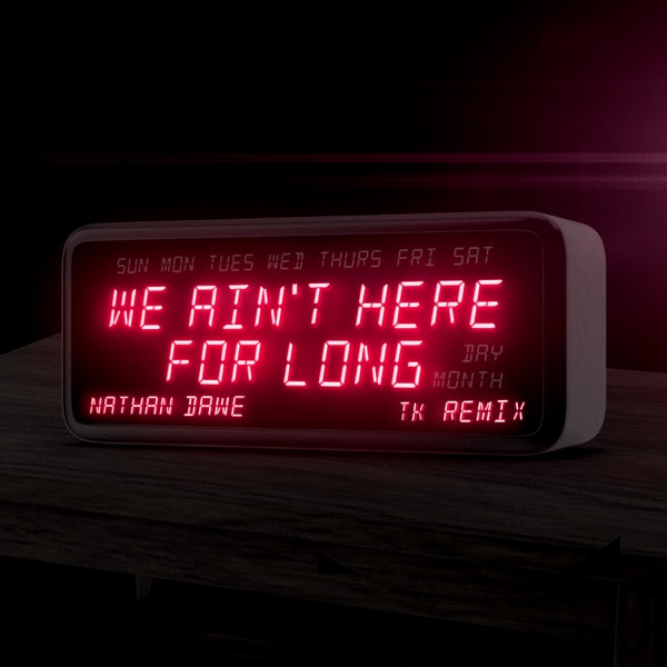 We Ain't Here For Long (TK Remix) - Single album cover