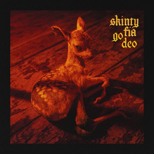 Skinty Fia go deo album cover