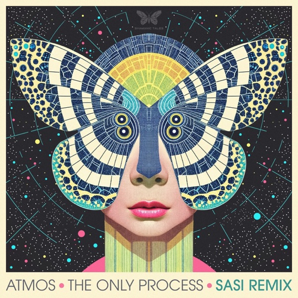 The Only Process (Sasi Remix) - Single album cover