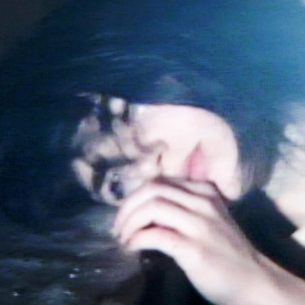 Gentleness (Liam Gordon Remix) - Single album cover