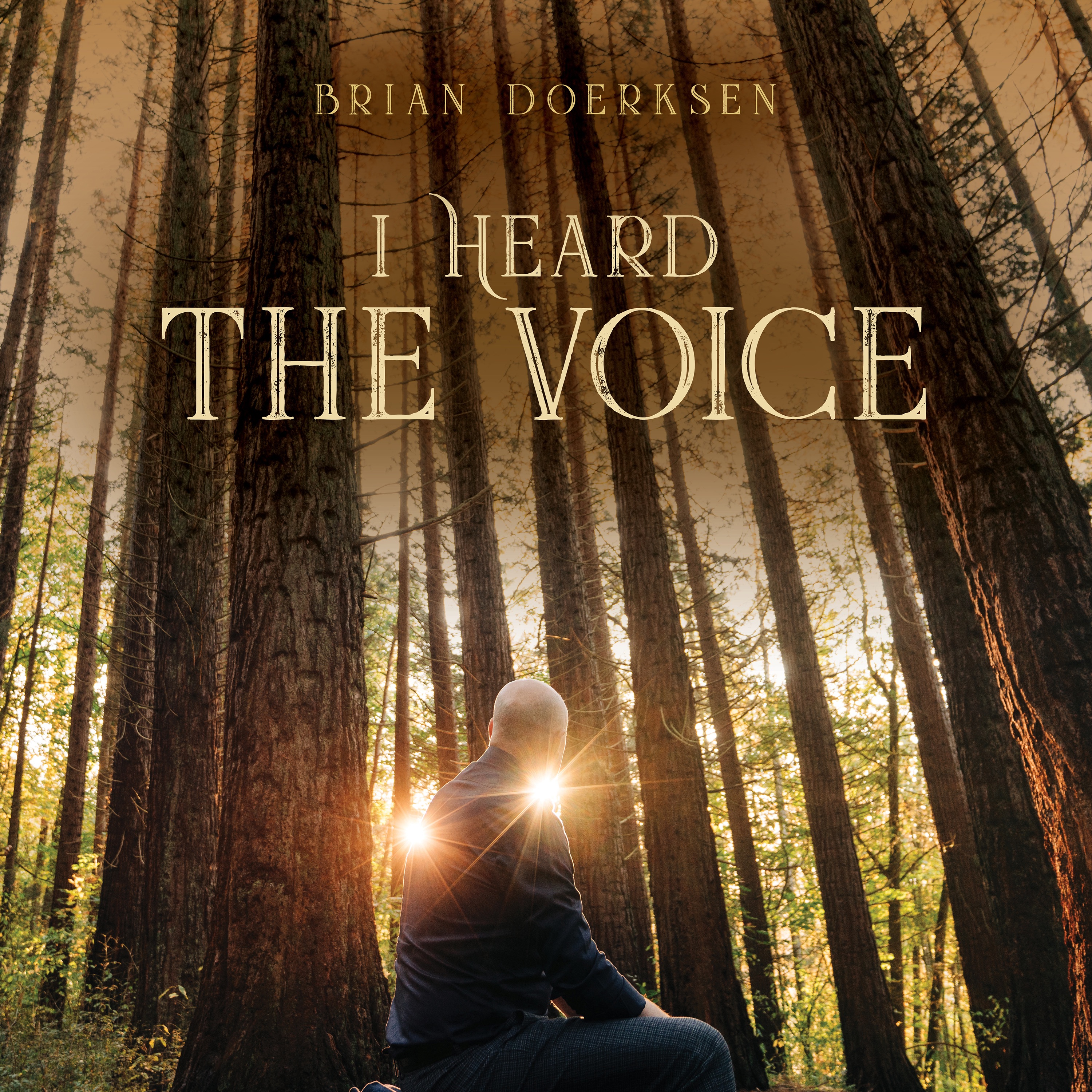I Heard the Voice (feat. Teresa Trask) - Single album cover