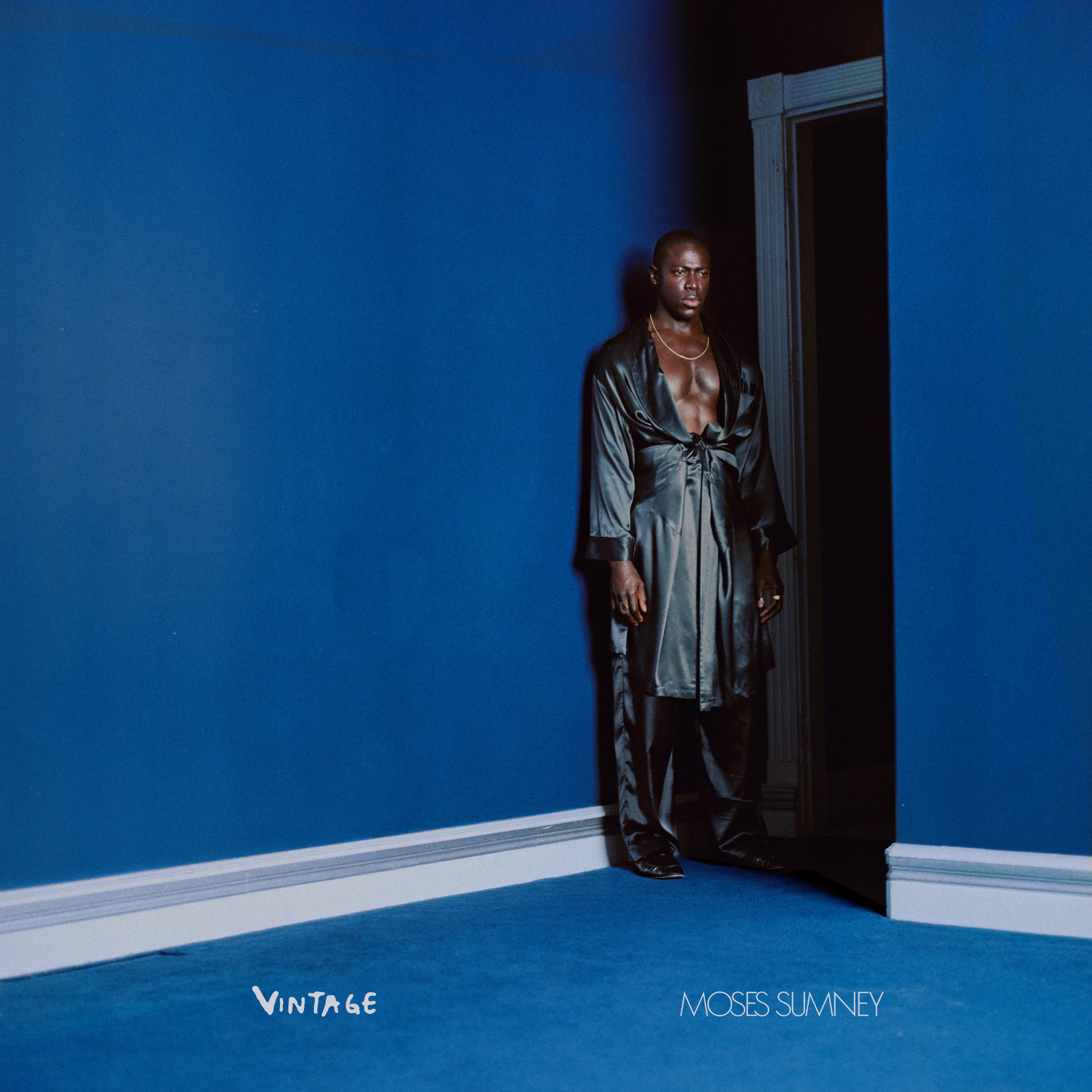 Vintage - Single album cover