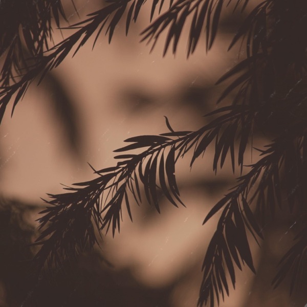 Chopin - Prelude Op.28 No.7 - Single album cover