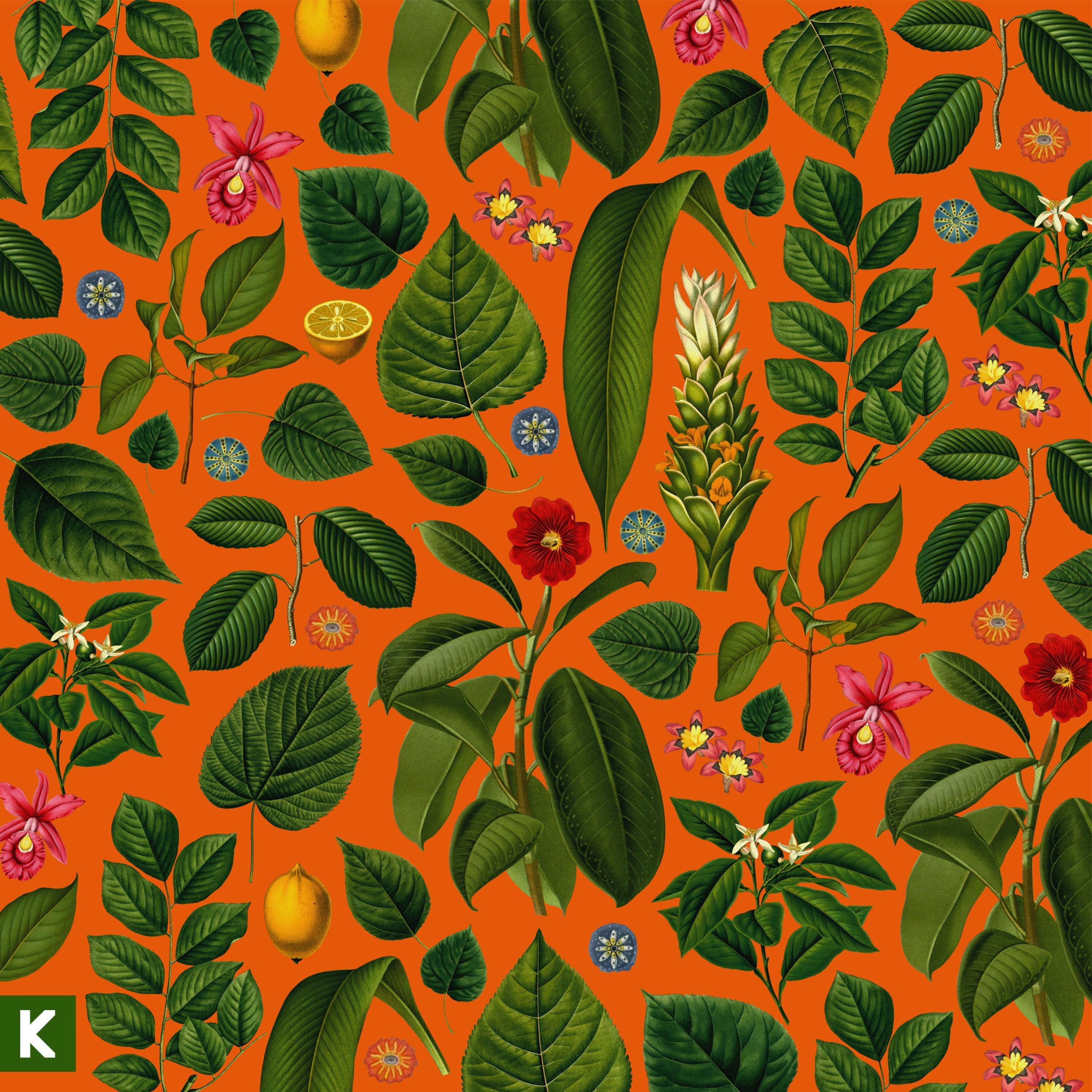 Becoming Who We Are (Instrumental) album cover