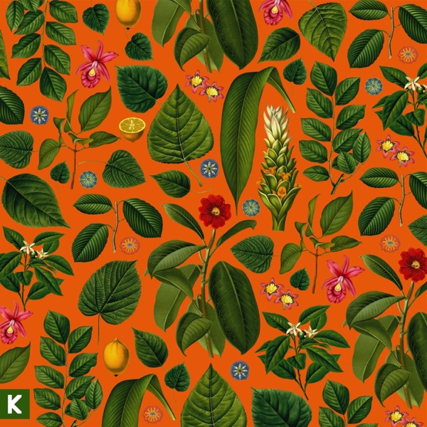 Becoming Who We Are (Instrumental) album cover