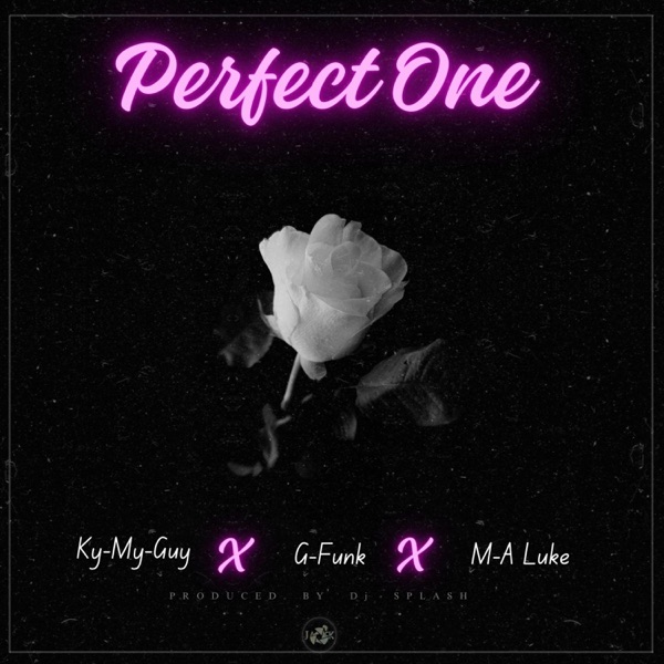 Perfect One (feat. M.A. Luke, Ky My Guy & Dj Splash) - Single album cover