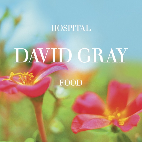Hospital Food, Pt. 2 - EP album cover