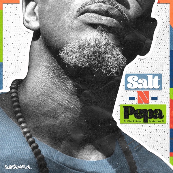 Salt N Pepa (feat. Black Root & Marcus D) - Single album cover