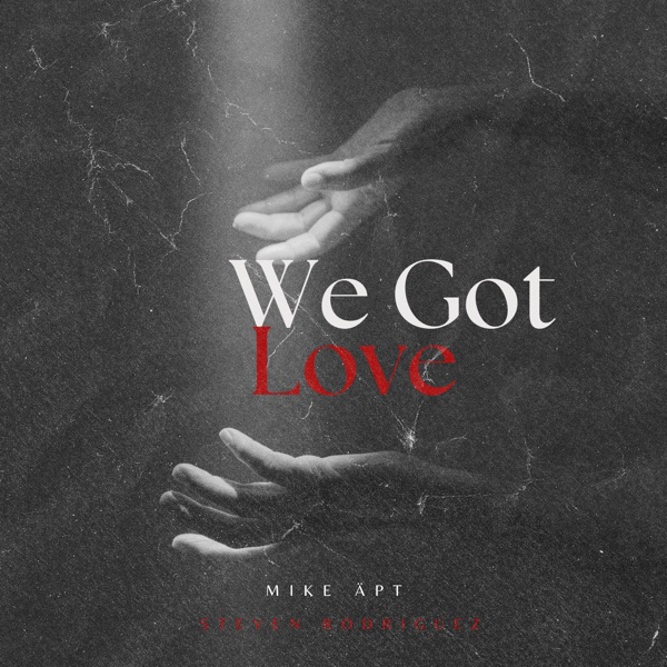 We Got Love - Single album cover