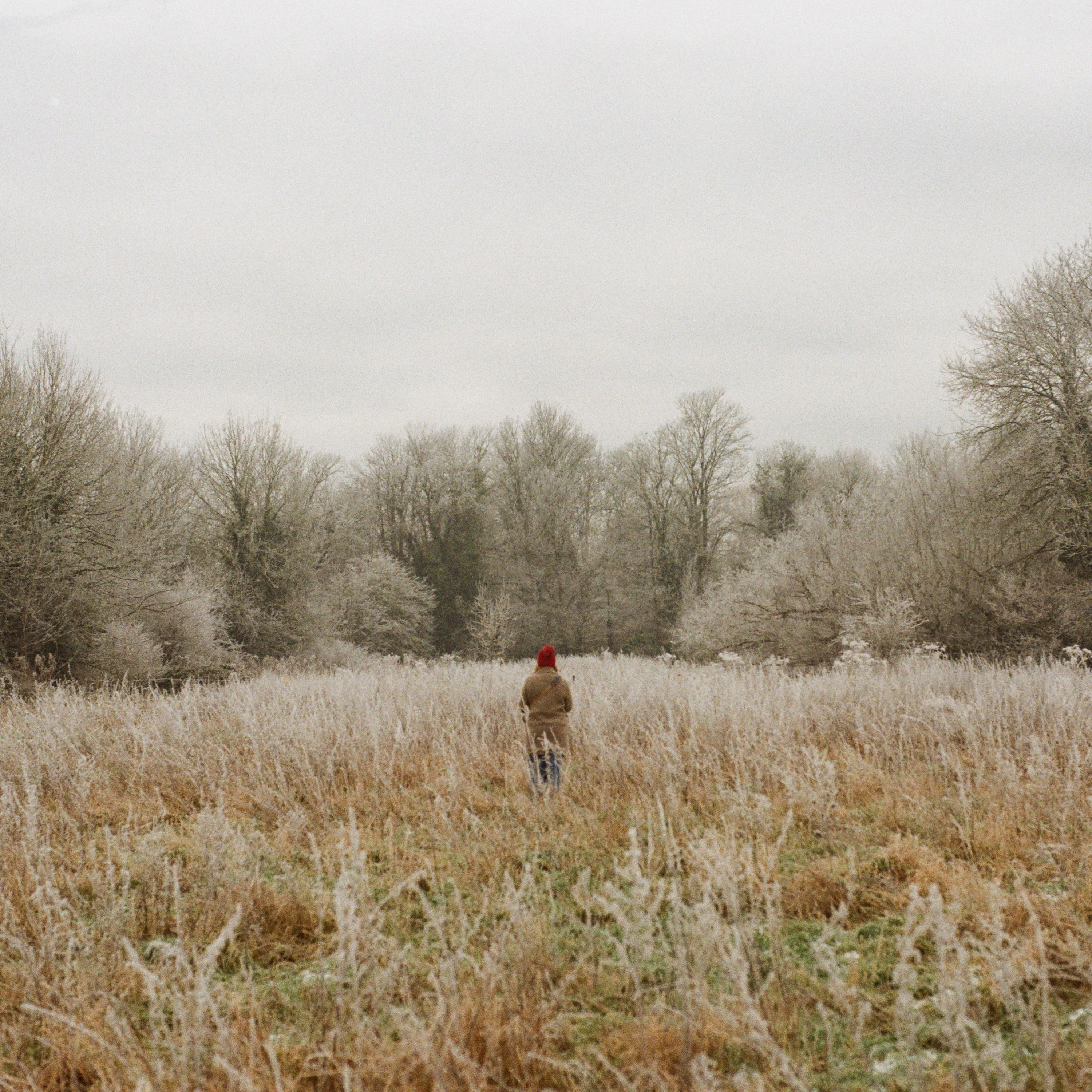 Bigger Picture (Deluxe) album cover