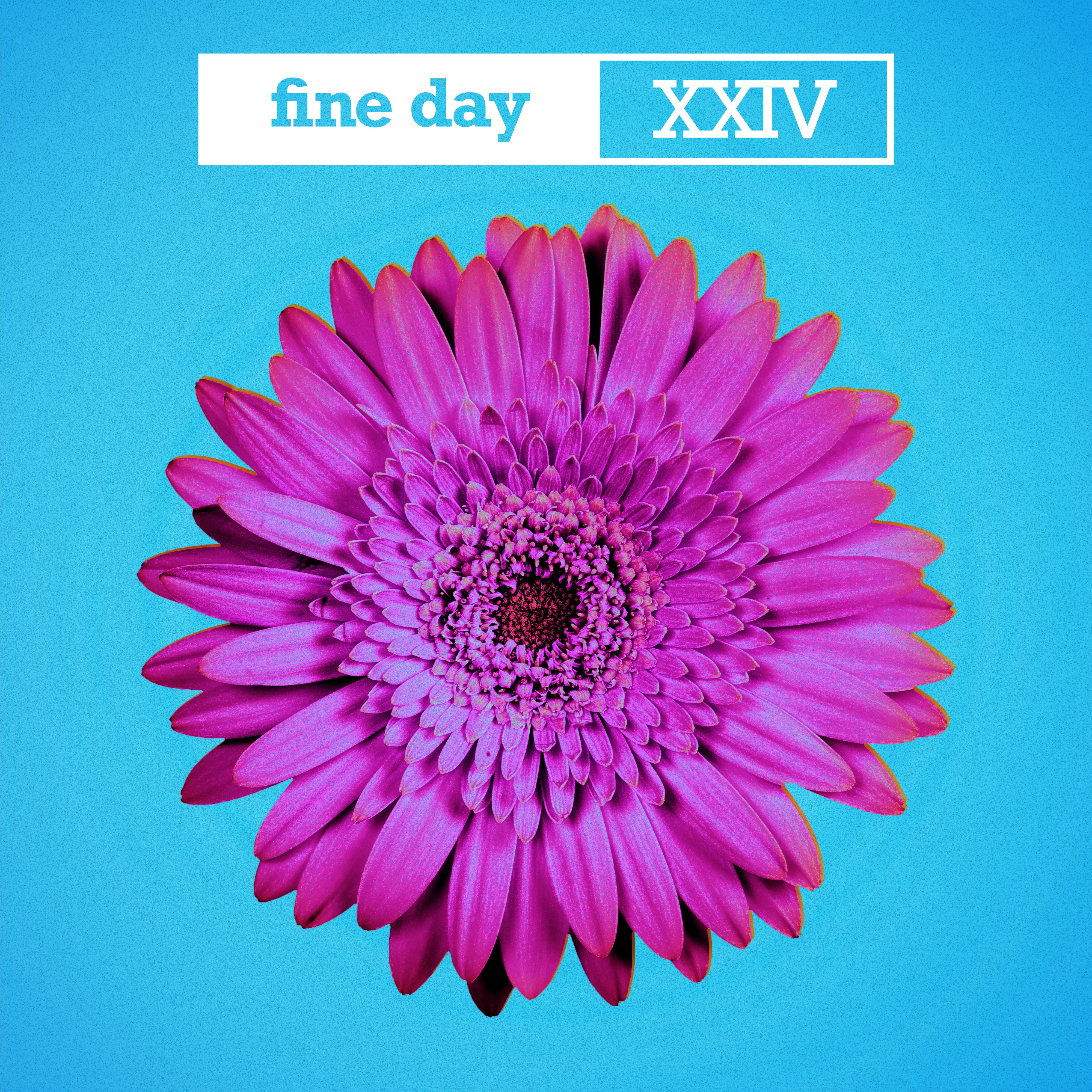 Fine Day XXIV (feat. Adam F) - Single album cover