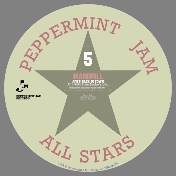 Ape's Back In Town (The Reflex Funky Monkey Dub) - Single album cover