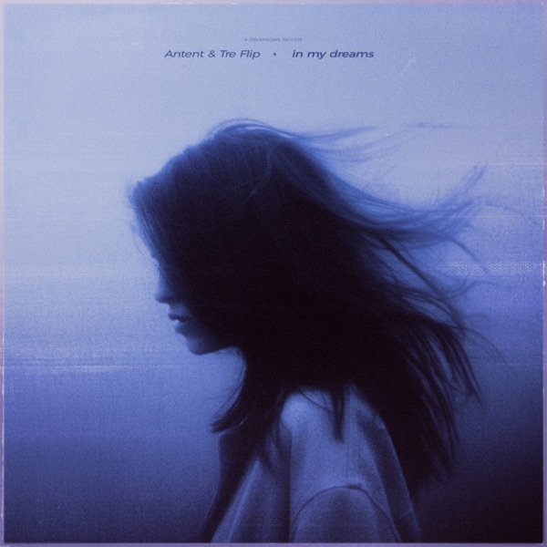In My Dreams - Single album cover