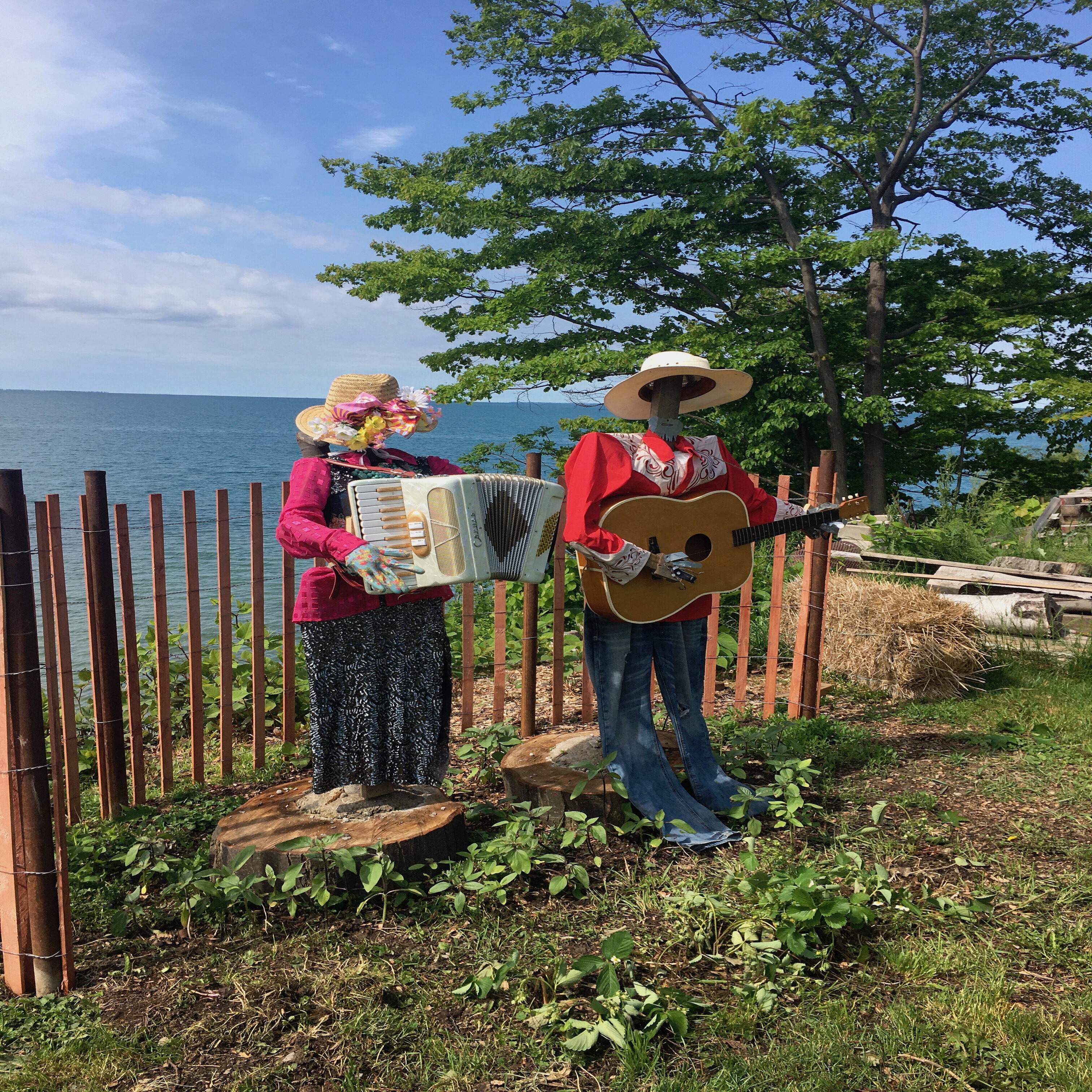 Rough Patch - Single album cover