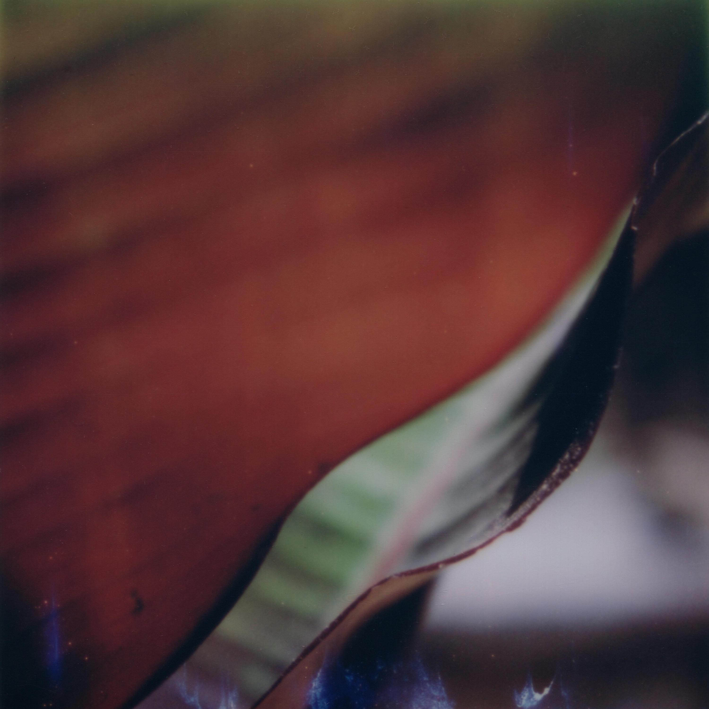 The Worlds We Leave Behind album cover