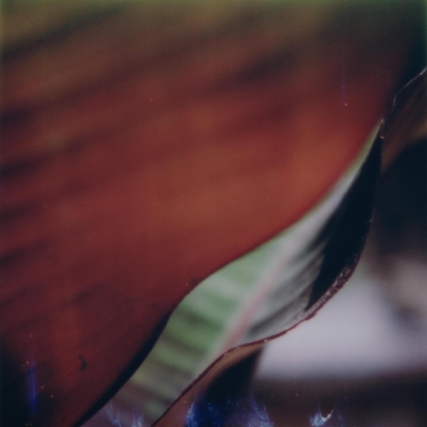 The Worlds We Leave Behind album cover