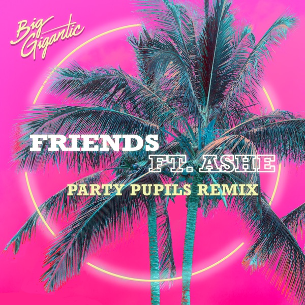 Friends (feat. Ashe) [Party Pupils Remix] - Single album cover
