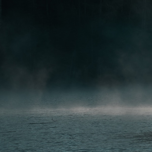 The Disappearance - Single album cover