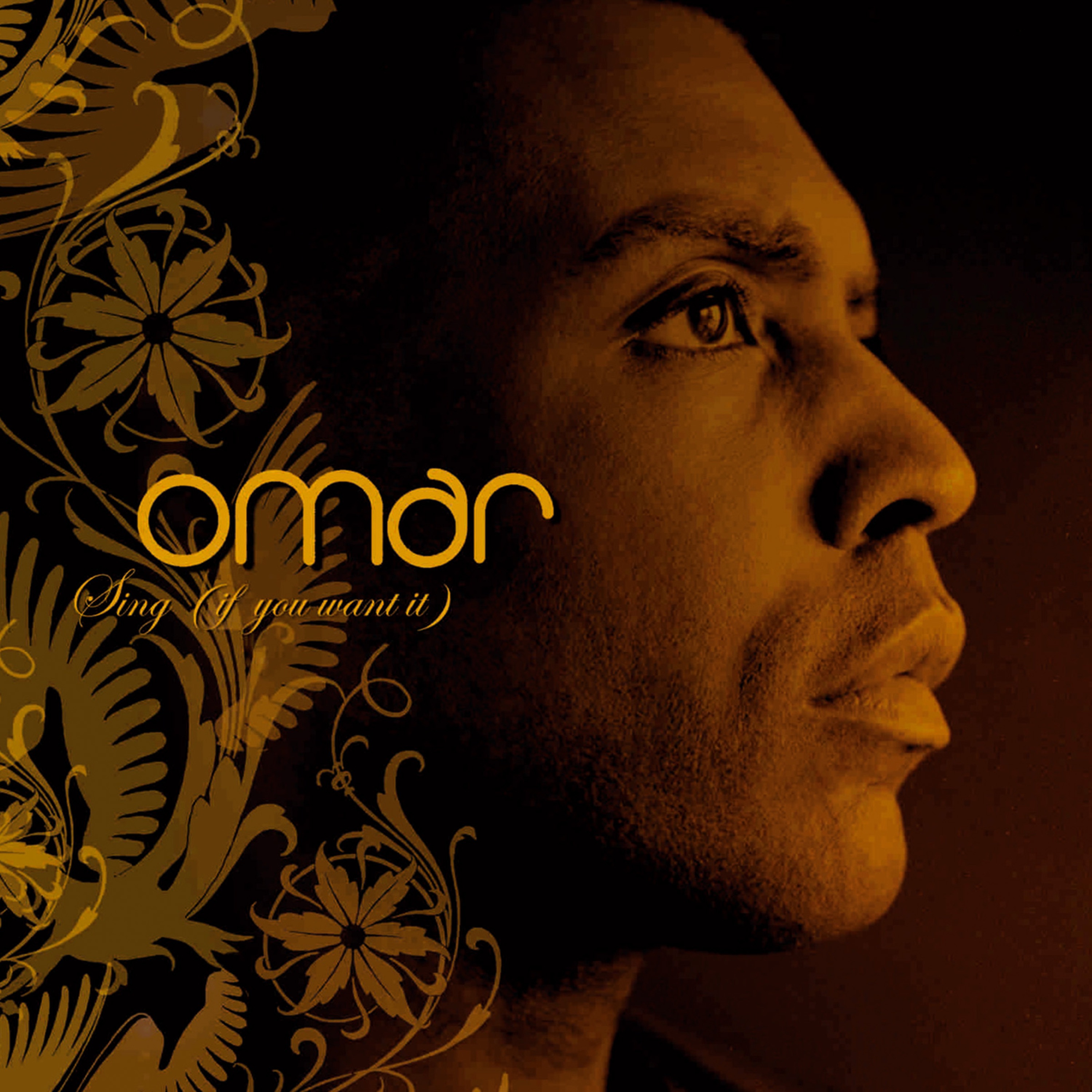 Sing (If You Want It) album cover