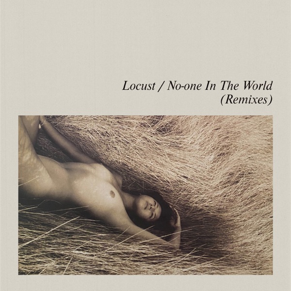 No-One In The World (Remixes) album cover