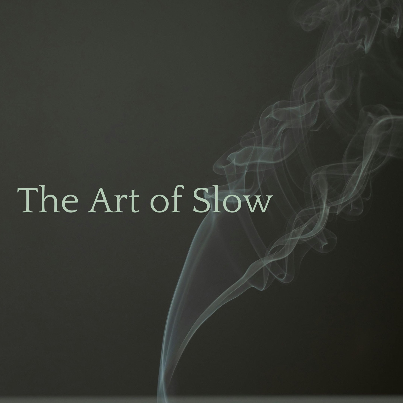 The Art of Slow - Single album cover