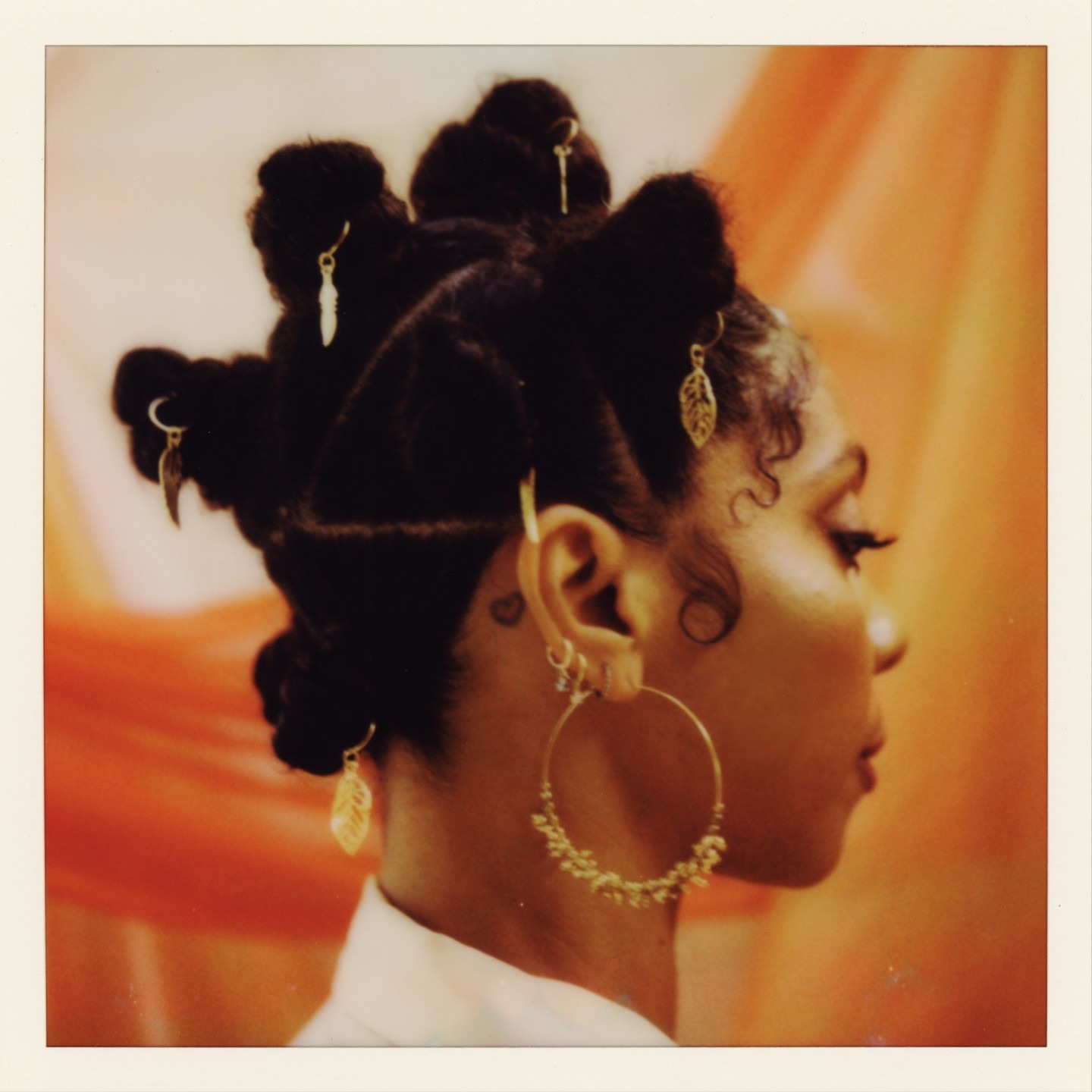 Shy Girl album cover