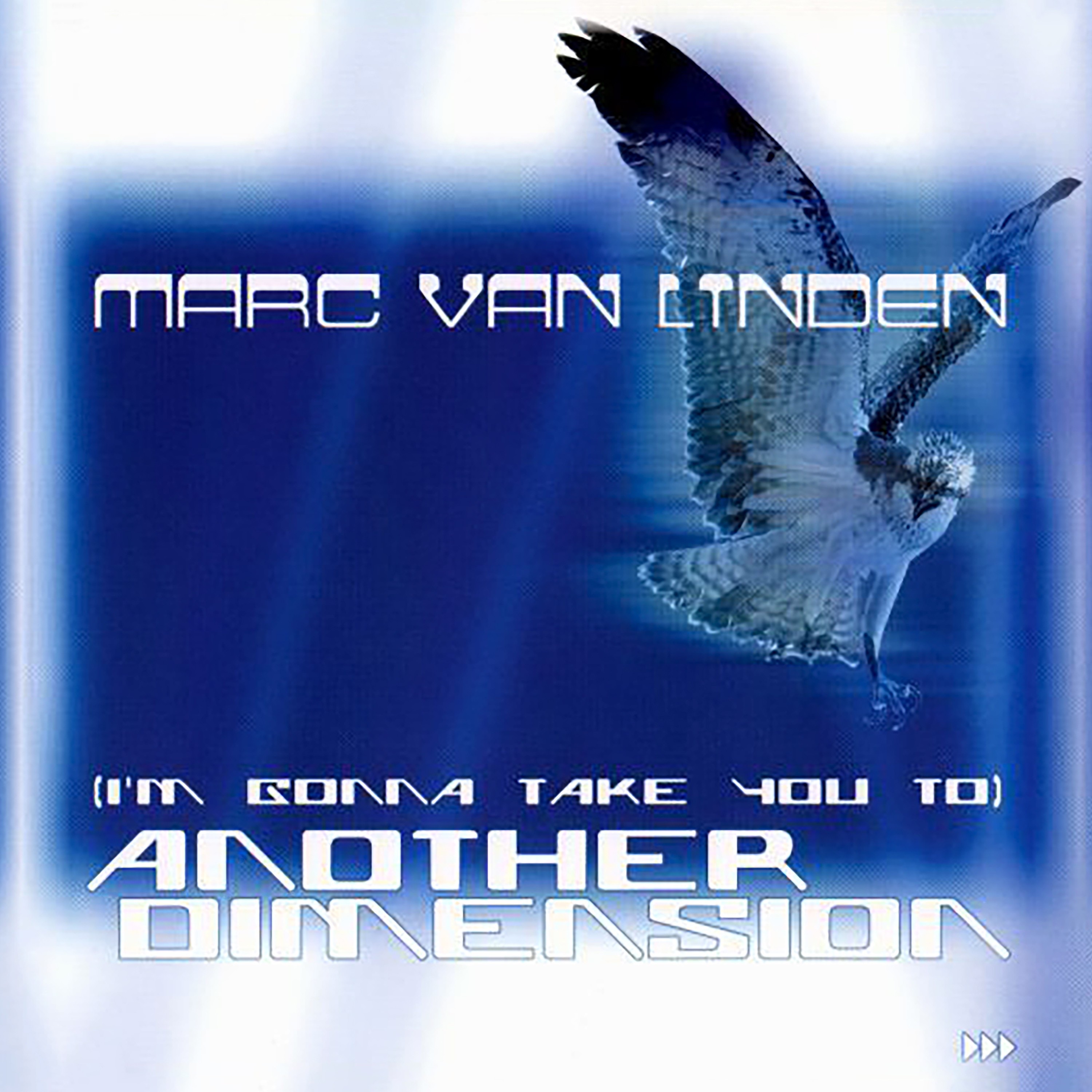 Another Dimension (I'm Gonna Take You To) [Remixes] - EP album cover