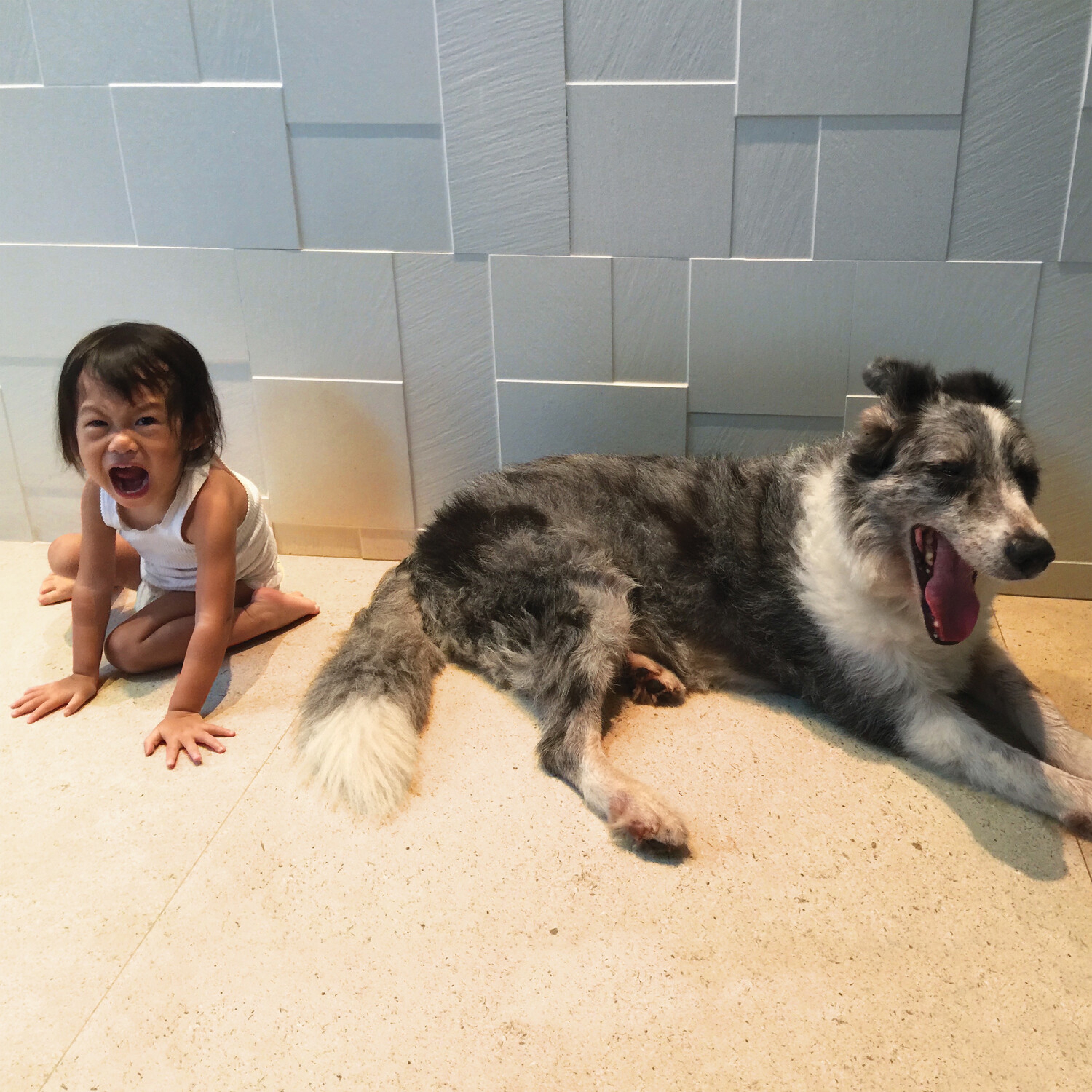 The Endless Shimmering album cover