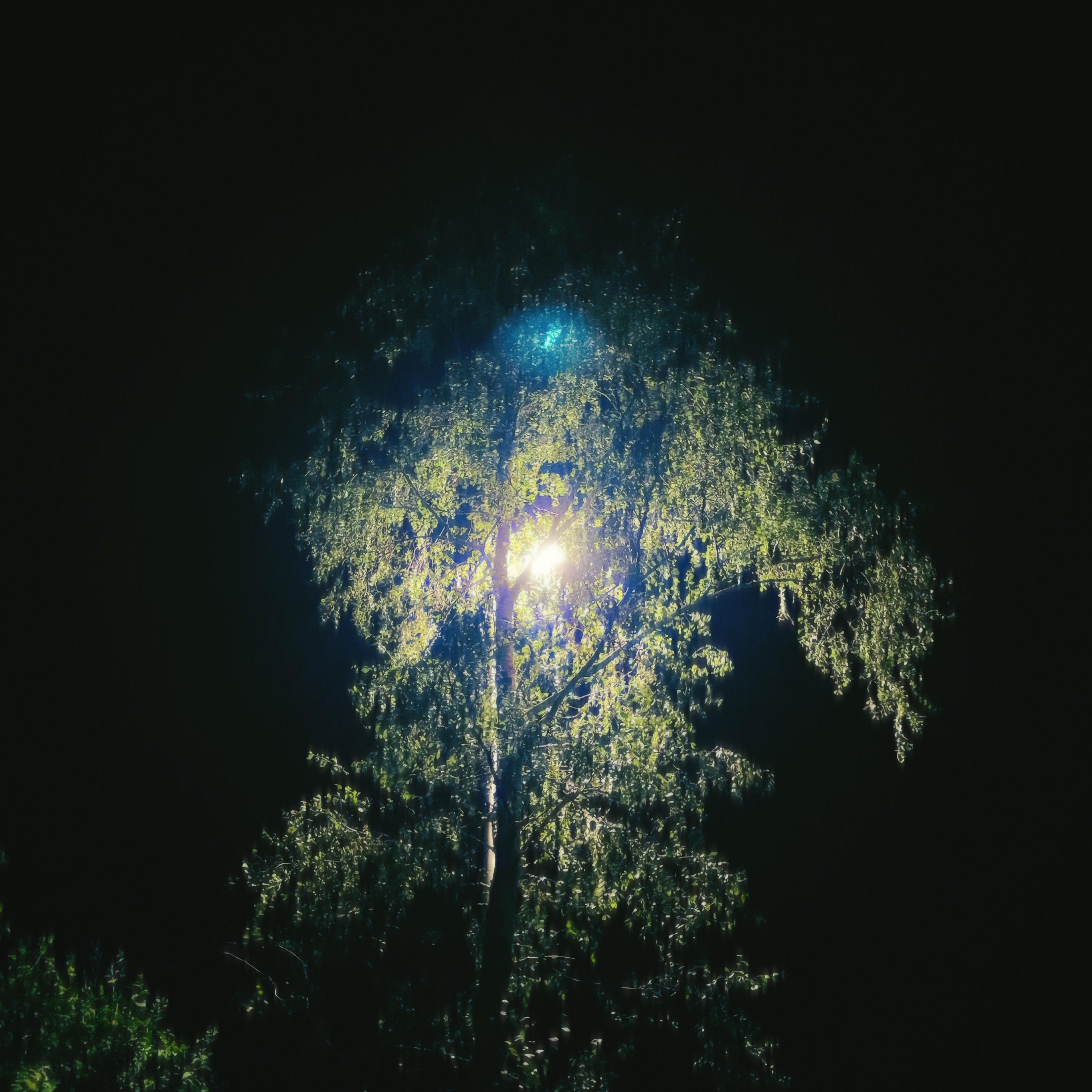 wandering at night - EP album cover