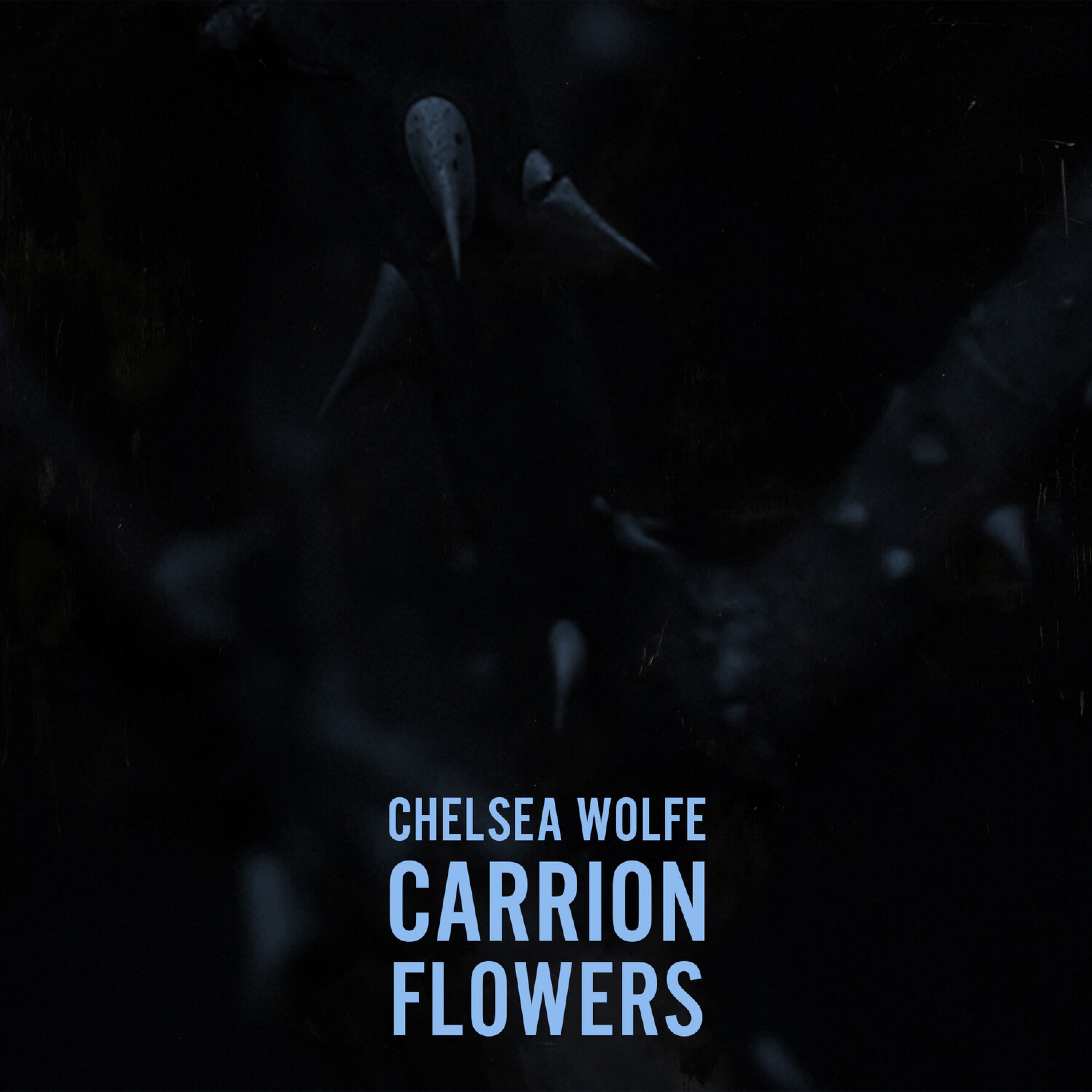 Carrion Flowers - Single album cover