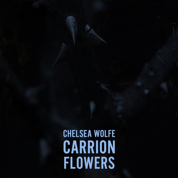 Carrion Flowers - Single album cover
