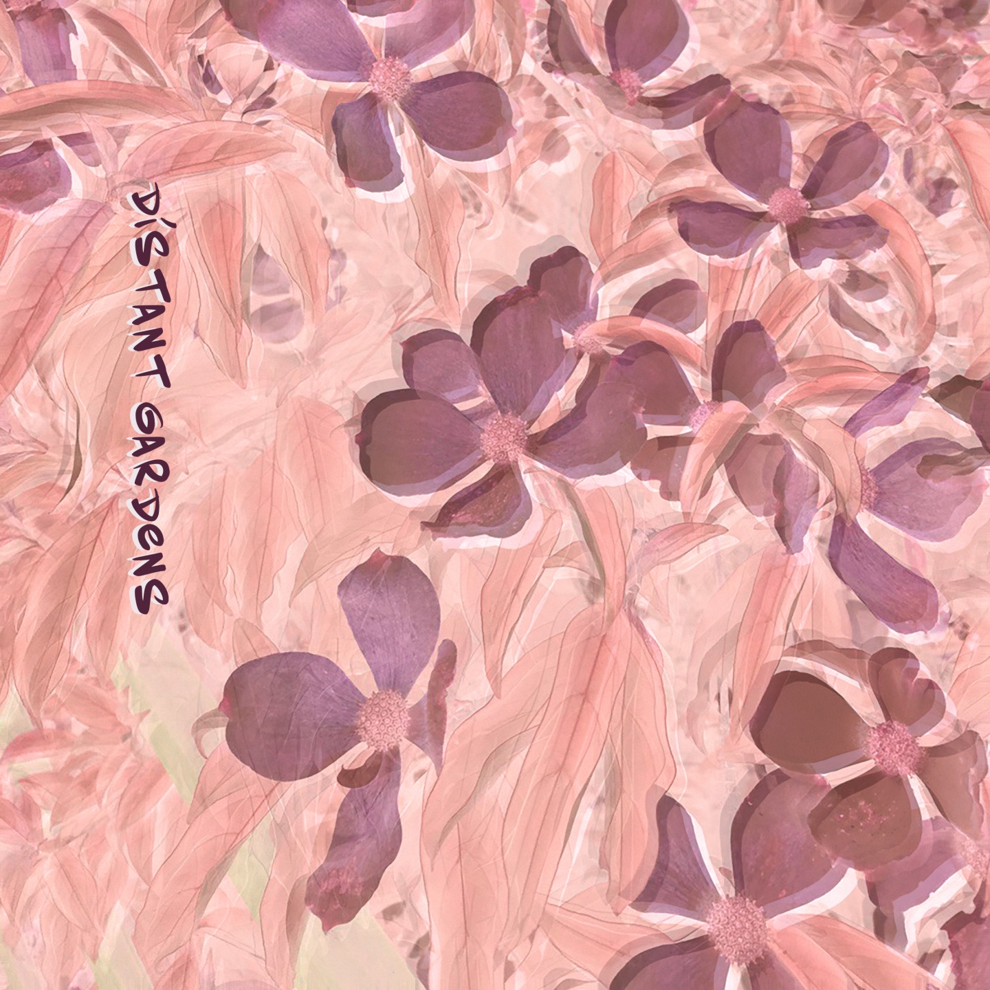Distant Gardens - Single album cover