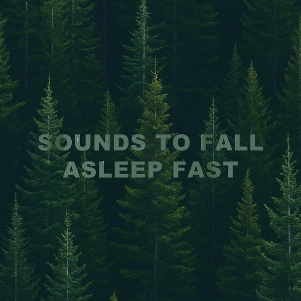 Sounds to Fall Asleep Fast album cover